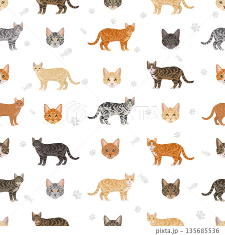 Domestic shorthair Cat clipart. All coat colors set Domestic shorthair Cat clipart. All coat colors set 135685536