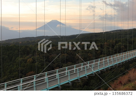 静岡県・三島市・三島スカイウォーク 135686372