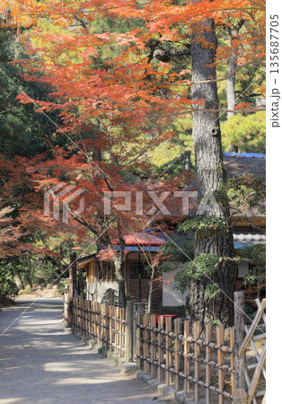 栗林公園南庭、草庵型の茶室日暮亭の紅葉 135687705