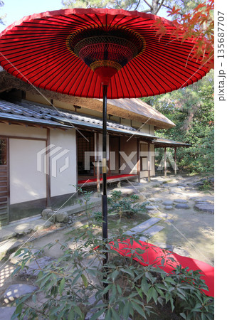 栗林公園南庭、草庵型の茶室日暮亭の紅葉 135687707