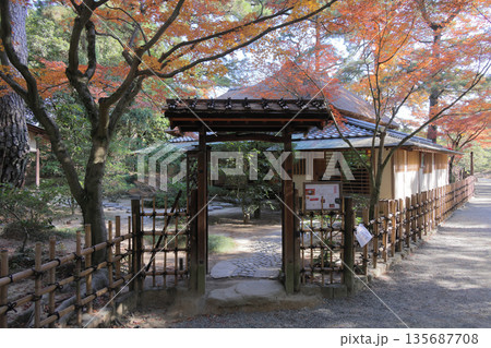 栗林公園南庭、草庵型の茶室日暮亭の紅葉 135687708