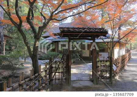 栗林公園南庭、草庵型の茶室日暮亭の紅葉 栗林公園南庭、草庵型の茶室日暮亭の紅葉 135687709