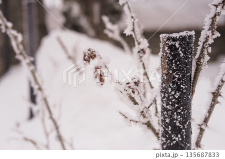 Frost-covered branches and wooden post in a serene winter landscape with snow and ice textures Frost-covered branches and wooden post in a serene winter landscape with snow and ice textures 135687833