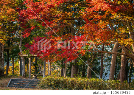 浜松市の二俣城跡の風景(静岡県) 浜松市の二俣城跡の風景(静岡県) 135689453