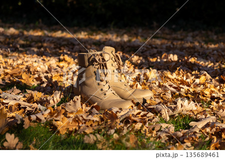 Tan lace-up boots settled amongst a vibrant carpet of golden autumn oak leaves, reflecting peaceful fall season outdoor adventure and nature Tan lace-up boots settled amongst a vibrant carpet of golden autumn oak leaves, reflecting peaceful fall season outdoor adventure and nature 135689461