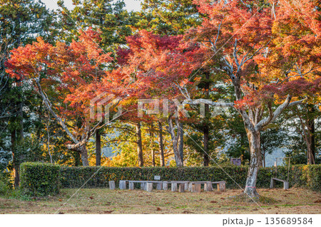 浜松市の二俣城跡の風景(静岡県) 135689584