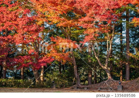 浜松市の二俣城跡の風景(静岡県) 135689586
