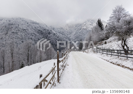 Snowy mountain road in winter forest, Carpathian Mountains, Romania 135690148