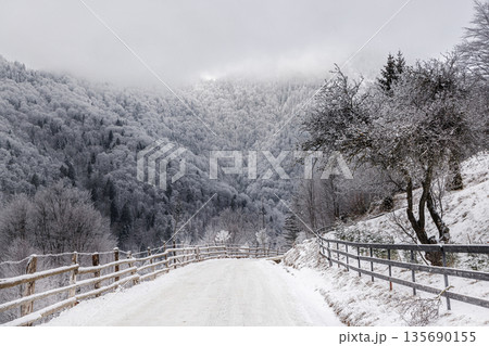 Snowy mountain road in winter forest, Carpathian Mountains, Romania Snowy mountain road in winter forest, Carpathian Mountains, Romania 135690155