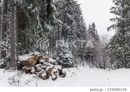 Snowy forest road in winter, Carpathian Mountains, Romania Snowy forest road in winter, Carpathian Mountains, Romania 135690156