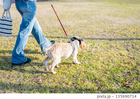 散歩する犬 135690714