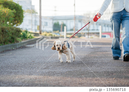 散歩する犬 散歩する犬 135690718
