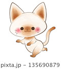 走るポーズのネコ 走るポーズのネコ 135690879
