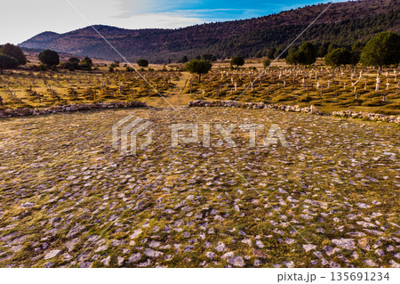 Sad Hill Cemetery in Spain. Tourist place Sad Hill Cemetery in Spain. Tourist place 135691234