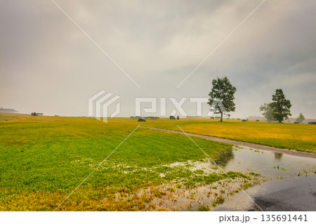 Foggy summer landscape in Norway Foggy summer landscape in Norway 135691441