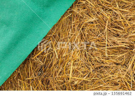 Detailed closeup of scattered hay Detailed closeup of scattered hay 135691462