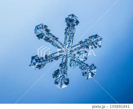 Natural snowflake crystal in blue background 135691841