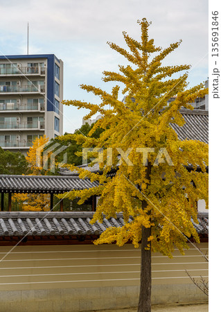 the city of Osaka in Japan the city of Osaka in Japan 135691846