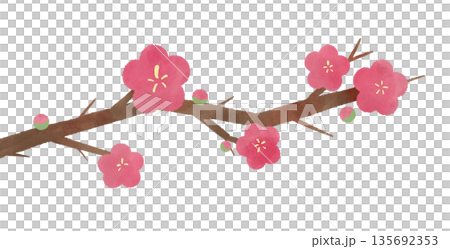 水彩で描いた梅の花のイラスト 水彩で描いた梅の花のイラスト 135692353