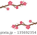 水彩で描いた梅の花のイラスト 135692354