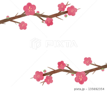 水彩で描いた梅の花のイラスト 水彩で描いた梅の花のイラスト 135692354