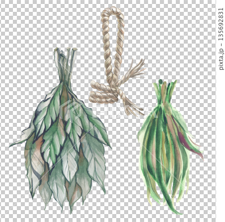A set with two bunches of grass and a tied rope with a loop. Watercolor illustration of green grass and leaves for drying. Clipart in natural colors for esotericism, aromatherapy. 135692831