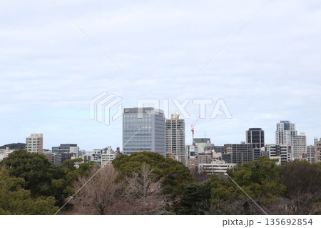 2024年・福岡・福岡市・風景・中央区城内・舞鶴公園・其の五十五 135692854