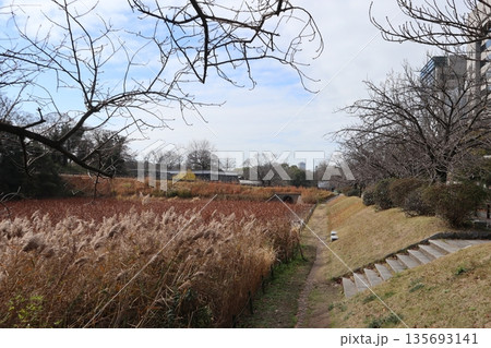 2024年・福岡・福岡市・風景・中央区城内・舞鶴公園・其の三 135693141