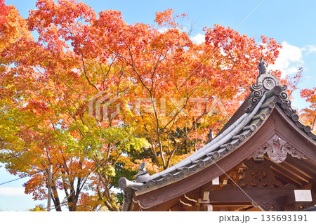 源光庵の紅葉 135693191