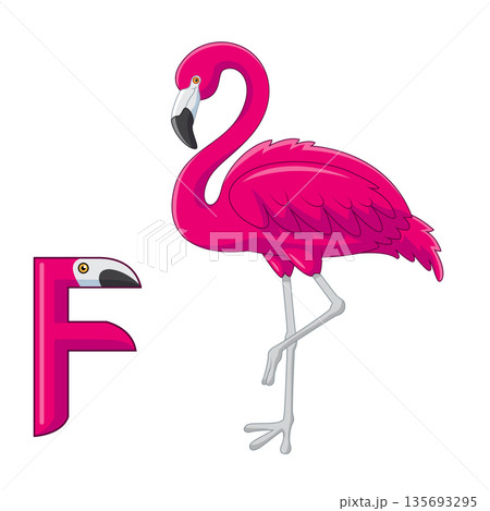 Cute flamingo cartoon standing with the letter F 135693295