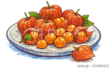 お皿に盛られたほおずきの実 クレヨンタッチイラスト 135693331