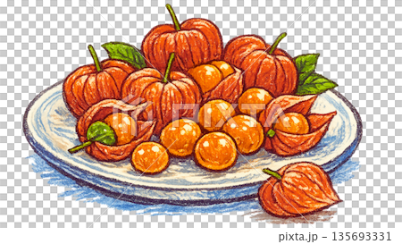 お皿に盛られたほおずきの実 クレヨンタッチイラスト 135693331