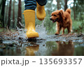 A child in yellow rubber boots jumps through puddles in the forest 135693357
