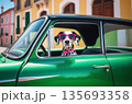 A funny dalmatian with glasses rides in a green car 135693358