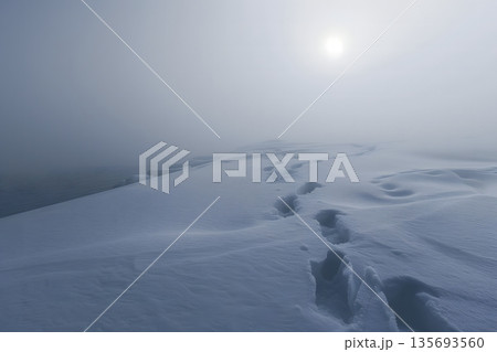 Footsteps Leading into Foggy Snowy Distance in Conceptual Winter Landscape Scene Footsteps Leading into Foggy Snowy Distance in Conceptual Winter Landscape Scene 135693560