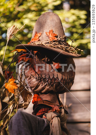 Mystical Fall Scarecrow with Pumpkin Display Mystical Fall Scarecrow with Pumpkin Display 135693629