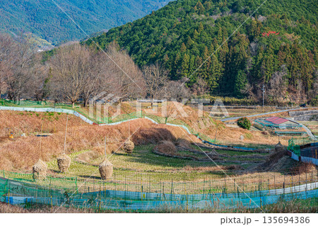 明日香村稲渕の棚田冬景色　日本の棚田百選　奈良県 135694386