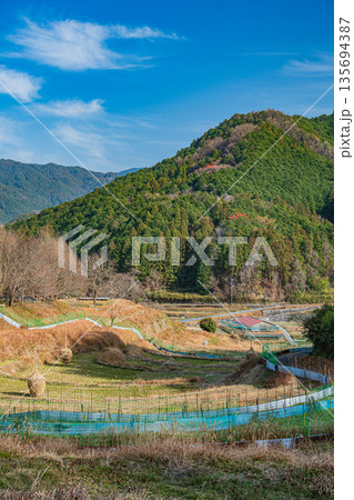 明日香村稲渕の棚田冬景色　日本の棚田百選　奈良県 135694387