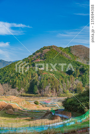 明日香村稲渕の棚田冬景色　日本の棚田百選　奈良県 135694388