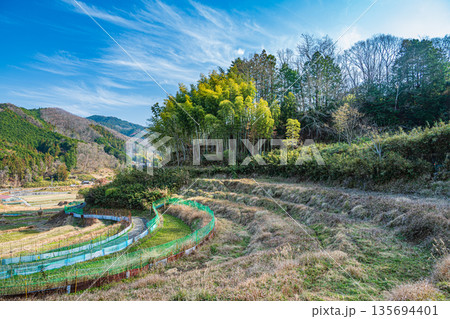 明日香村稲渕の棚田冬景色 日本の棚田百選 奈良県 明日香村稲渕の棚田冬景色 日本の棚田百選 奈良県 135694401