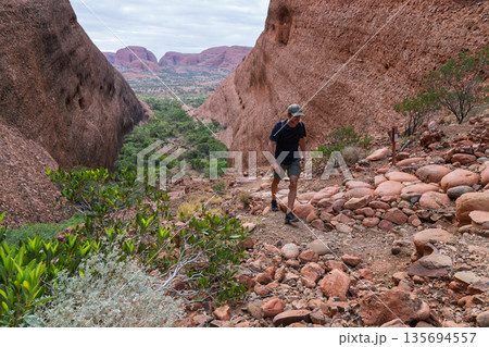 Hiker climbing steep trail between red rock domes of Kata Tjuta, Australia 135694557