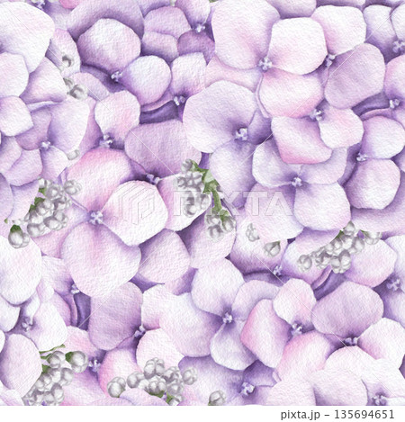 Watercolor seamless pattern with pink hydrangea flowers and buds. Hand drawn illustration Watercolor seamless pattern with pink hydrangea flowers and buds. Hand drawn illustration 135694651