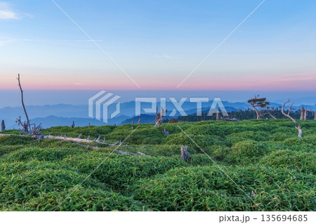 大台ヶ原の夜明け：立ち枯れの木々と幻想的な朝焼けの山岳風景 135694685