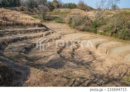 明日香村稲渕の棚田冬景色　日本の棚田百選　奈良県 135694715