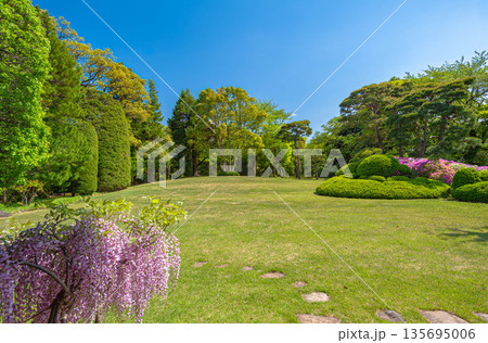 松戸市の重要文化財　戸定邸の日本庭園 135695006