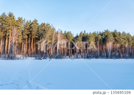 Snow-Covered Lake Shore with Ice, Pine Forest on Shore, Beautiful Winter Landscape with snow covered trees Snow-Covered Lake Shore with Ice, Pine Forest on Shore, Beautiful Winter Landscape with snow covered trees 135695109