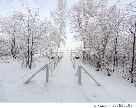 Winter landscape with snow covered trees and pier. Lake covered with thin ice. Winter landscape with snow covered trees and pier. Lake covered with thin ice. 135695198
