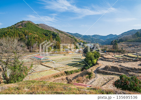 明日香村稲渕の棚田冬景色 日本の棚田百選 奈良県 明日香村稲渕の棚田冬景色 日本の棚田百選 奈良県 135695536
