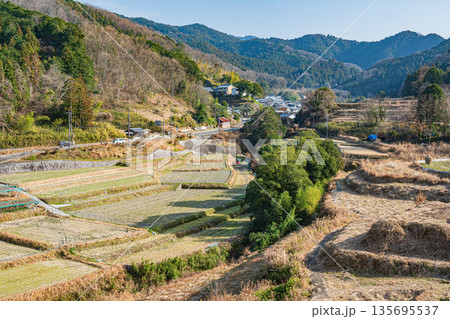 明日香村稲渕の棚田冬景色　日本の棚田百選　奈良県 135695537