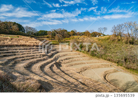 明日香村稲渕の棚田冬景色　日本の棚田百選　奈良県 135695539